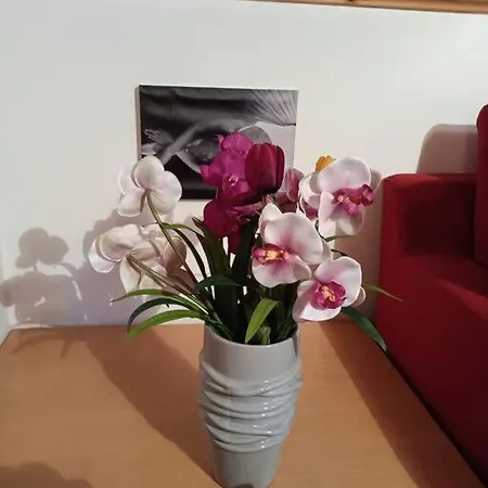 Apartment 300 Mt A Piedi Piste Baradello - Tasse Incluse -